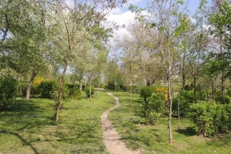 Un milion de euro costă reabilitarea unui hectar de spațiu verde într-o zonă urbană