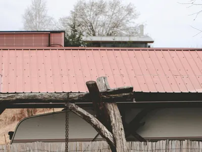 Evacuat din casă după agresarea fiului (sursa: Pexels/Ferencz Istvan)