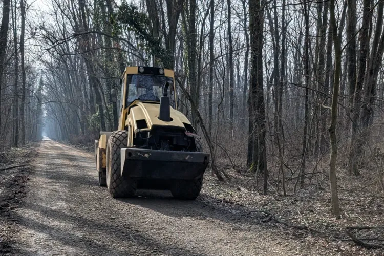Sfidare uriașă a dezvoltatorilor Greenfield: consolidează drumul forestier prin pădurea Băneasa, deși Ministerul Mediului l-a declarat ilegal (sursa: Facebook/Asociația Parcul Natural București)