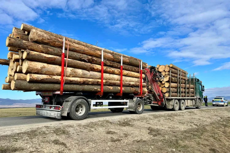 Transporturile de lemn, probleme cu legea (sursa: Facebook/Bodnar Daniel)