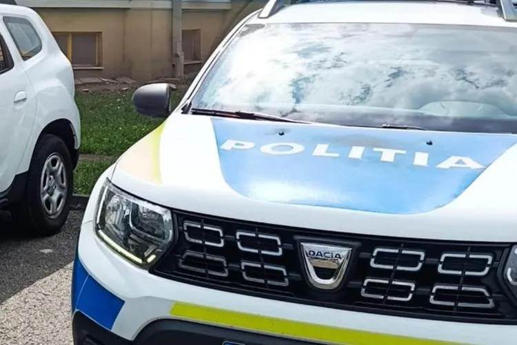 Mamă, soție și fiică, bătute violent (sursa: Facebook/Poliția Română)