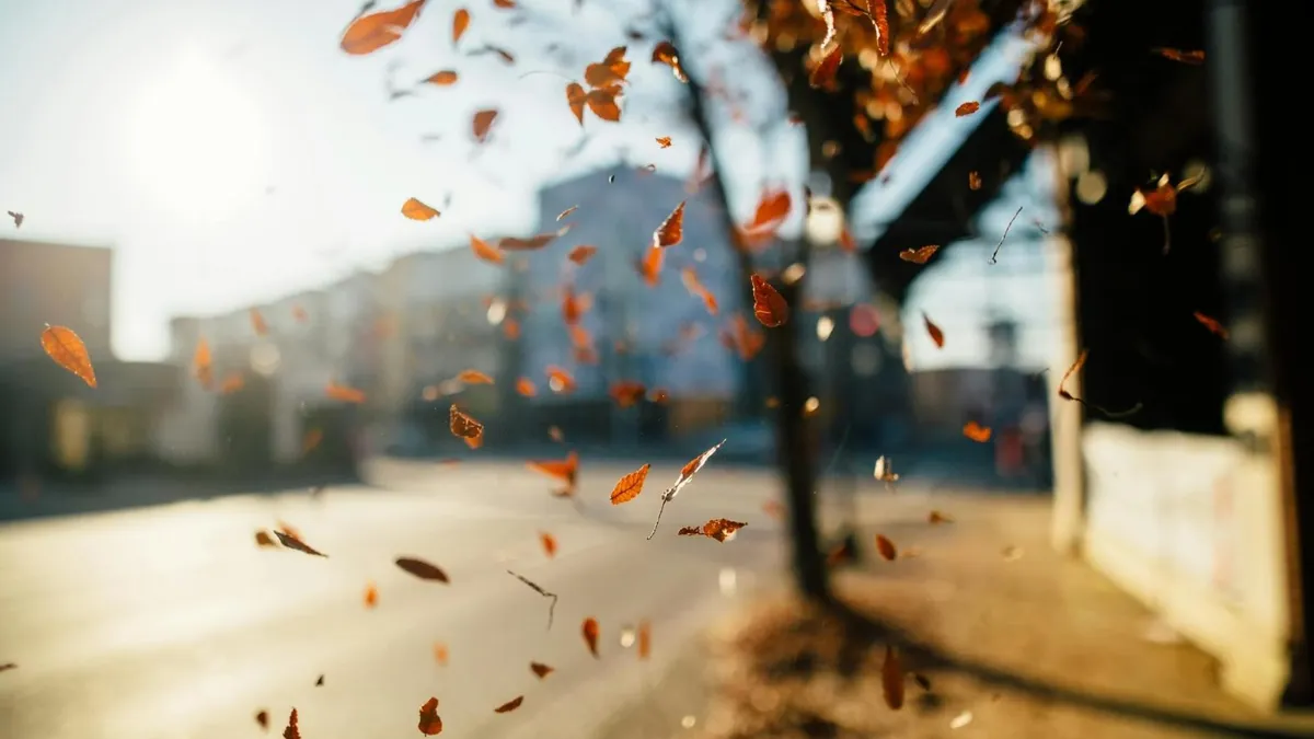 Prognoza meteo la început de toamnă (sursa: Pexels/Kelly)