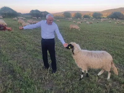 Intervenție decisivă a lui Petre Daea în legătură cu protestul oierilor: „Eu nu critic oaia seara și dimineața îi mănânc brânza”
