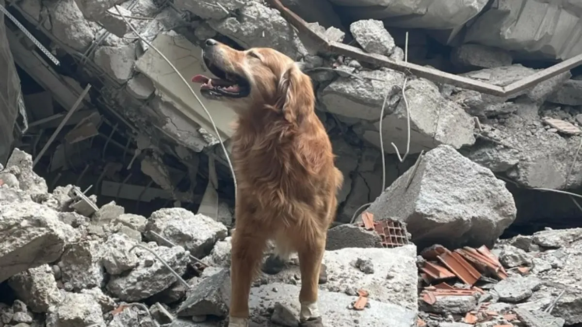 Pro TV: o clădire construită în 2009 a fost depistată că se încadra în clasa de risc seismic II, fiind verificată înainte de a deveni spital Foto: Twitter