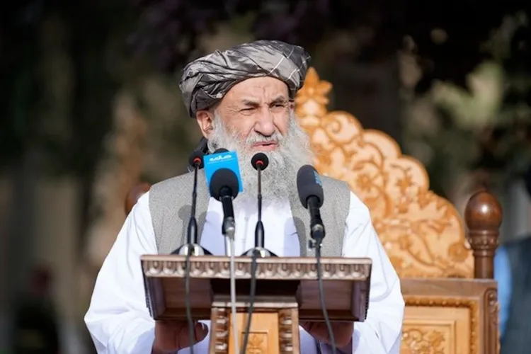 Talibanii cheamă afganii acasă, oferind amnistie (sursa: X/ARG, Office of Chief of Staff)