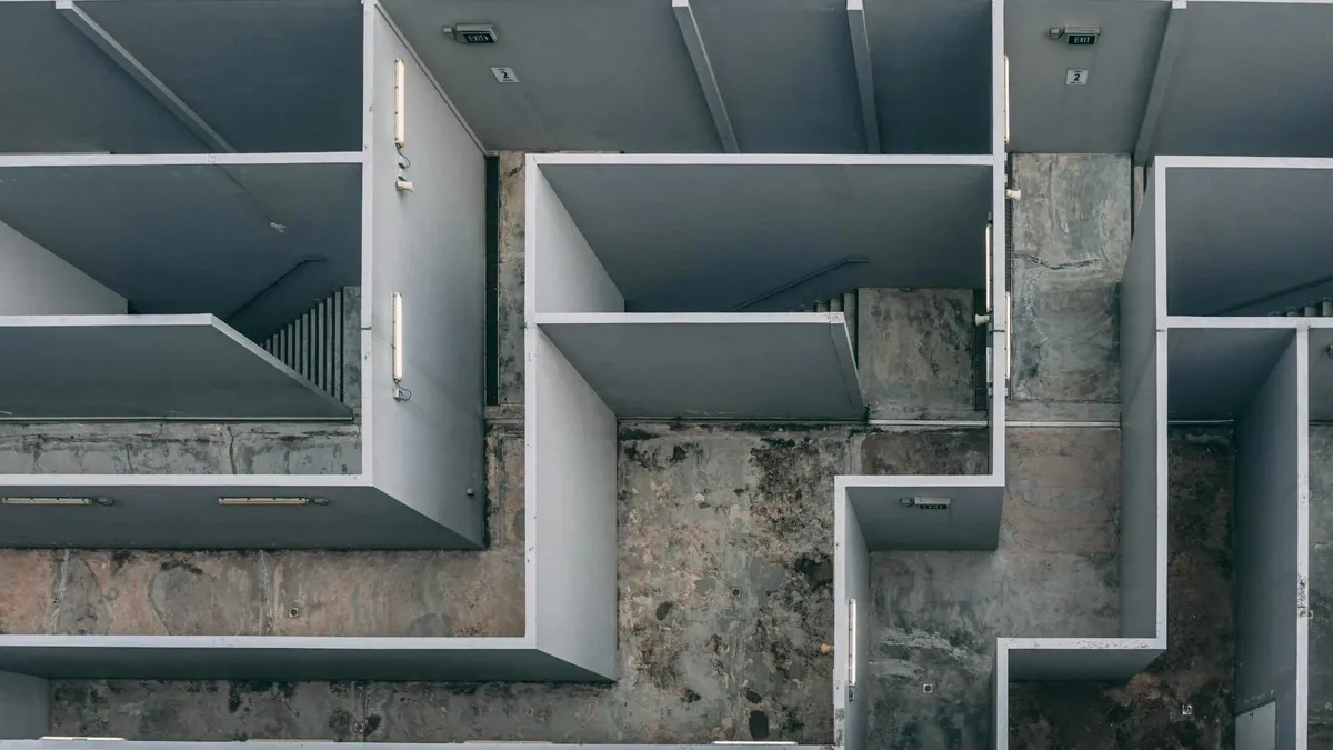 Furnicile pot depăși performanțele umane (studiu) (sursa: Pexels/Soulful Pizza)