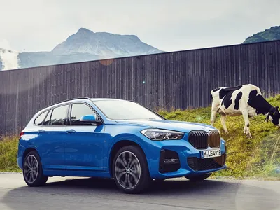 BMW nu mai produce și nu mai vinde în Rusia Foto: BMW