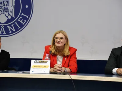 Lipă, candidata PSD pentru Camera Deputaților (sursa: Facebook/Elisabeta Lipa)