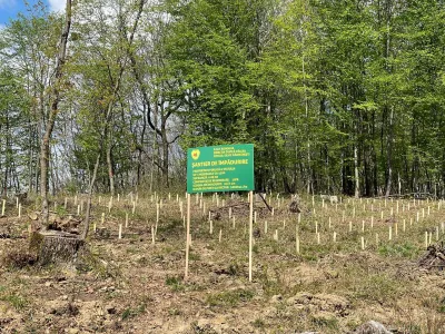 Director adjunct la Romsilva, conflict de interese (sursa: Facebook/Romsilva - Directia Silvica Valcea)