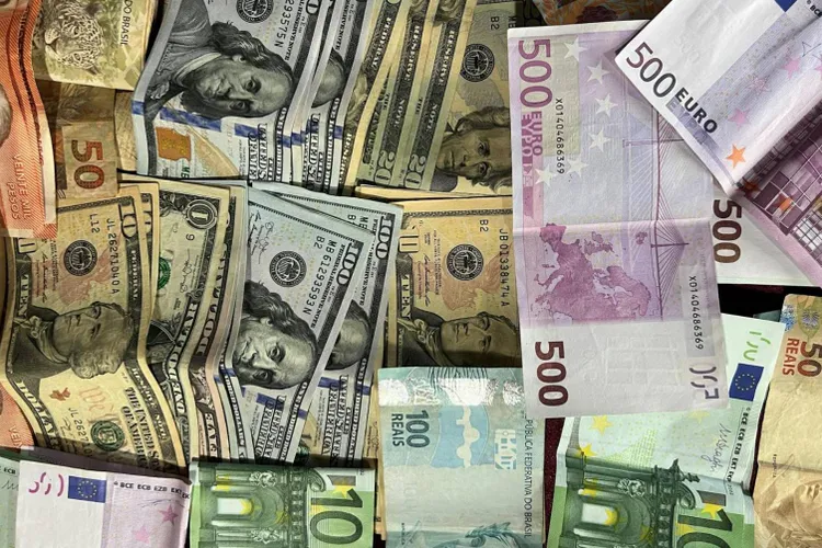 Leul se apreciază după rezultatul alegerilor (sursa: Pexels/Valmir Zanellato)