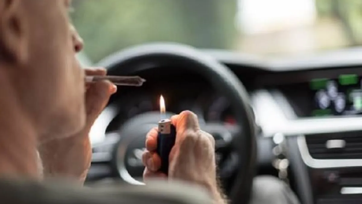 Judecătorii reduc pedeapsa unui șofer prins cu cannabis: munca în străinătate l-ar fi „contaminat” – poza 1
