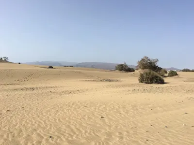 Deșertul românesc, jumătate de milion hectare. Aici, lângă Dăbuleni (sursa: romaniamama.ro)