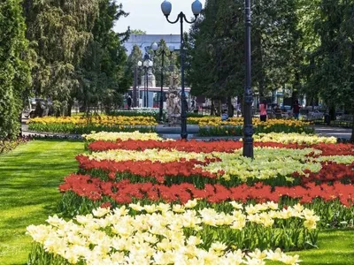 Iași Brașov sau Târgoviște (sursa: ziaruldeiasi.ro)