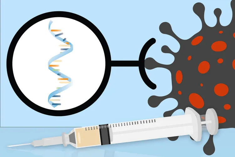 Vaccinuri anticovid: un studiu francez indică un risc de tulburări menstruale Grafică: MIT