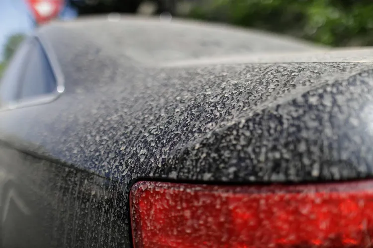 Val de praf deșertic peste România (sursa: Inquam Photos/Octav Ganea)