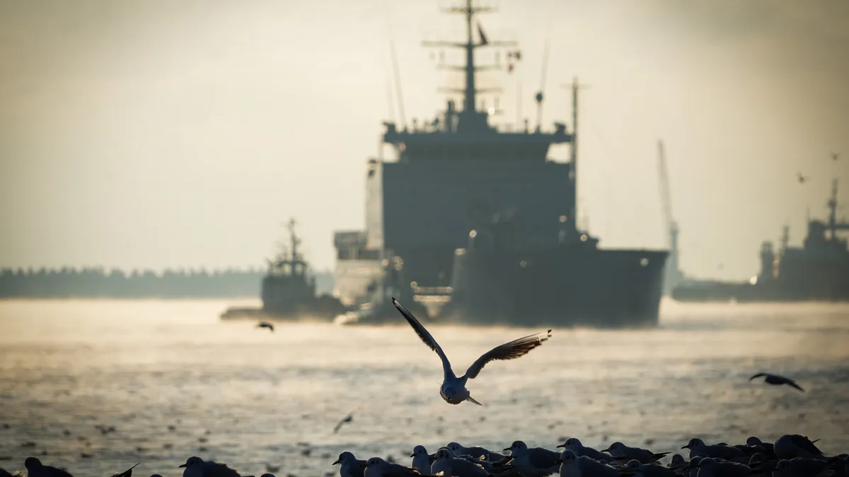 Echipamente militare dubios de scumpe, achiziționate prin SAFE  Foto: Facebook Forțele Navale