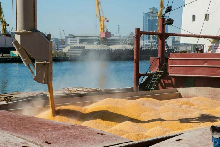 Rusia fură masiv grâu din Ucraina și îl exportă din peninsula Crimeea. Livrările, de 50 de ori mai mari decât normalul perioadei