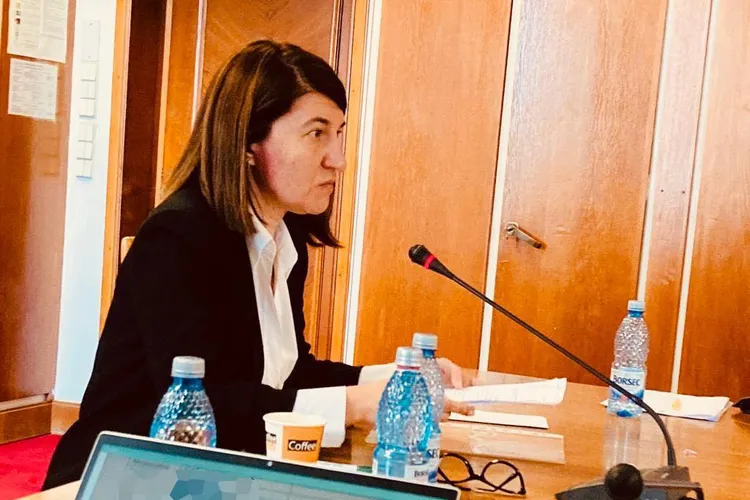 „Pensiile speciale rămân. Se schimbă cu penseta, ușor”, anunță fostul ministru Violeta Alexandru Foto: Facebook