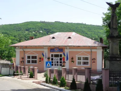 Fiică bătută, tatăl, iertat de judecători (sursa: Facebook/Primaria Tansa)