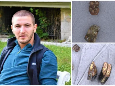 România preistorică, hiene și climat de savană (sursa: ziaruldeiasi.ro)