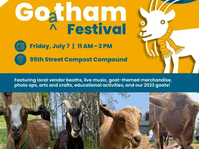 Goatham: patru capre, vedete în Manhattan (sursa: riversideparknyc.org)