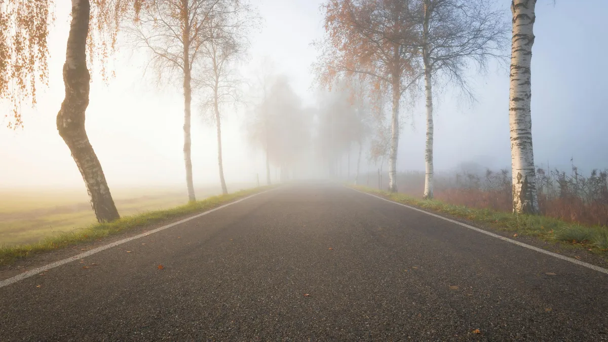 Cod galben de ceață densă în 11 județe (sursa: Pexels/Felix)