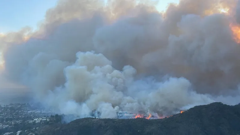 Incendiile din Los Angeles, pagube masive (sursa: Facebook/The White House)