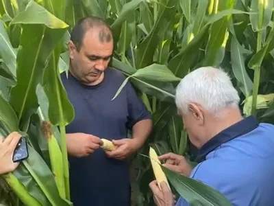 Încă un pensionar special în Guvern: Petre Daea Foto: captură YouTube