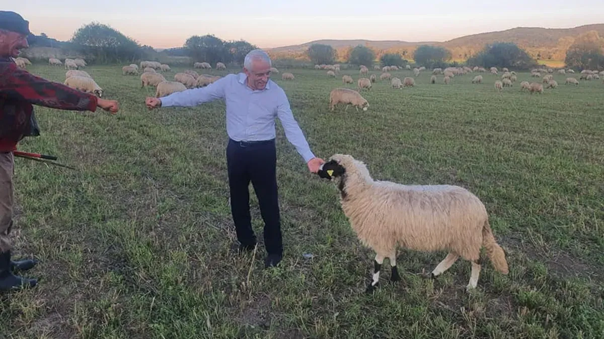 Intervenție decisivă a lui Petre Daea în legătură cu protestul oierilor: „Eu nu critic oaia seara și dimineața îi mănânc brânza” – poza 1