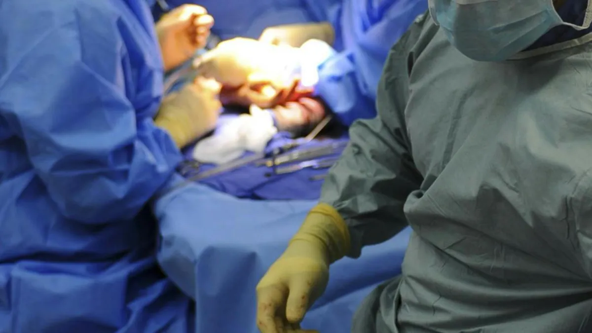 Rinichi, transplantat independent de grupa sanguină (sursa: Pexels/Pixabay)