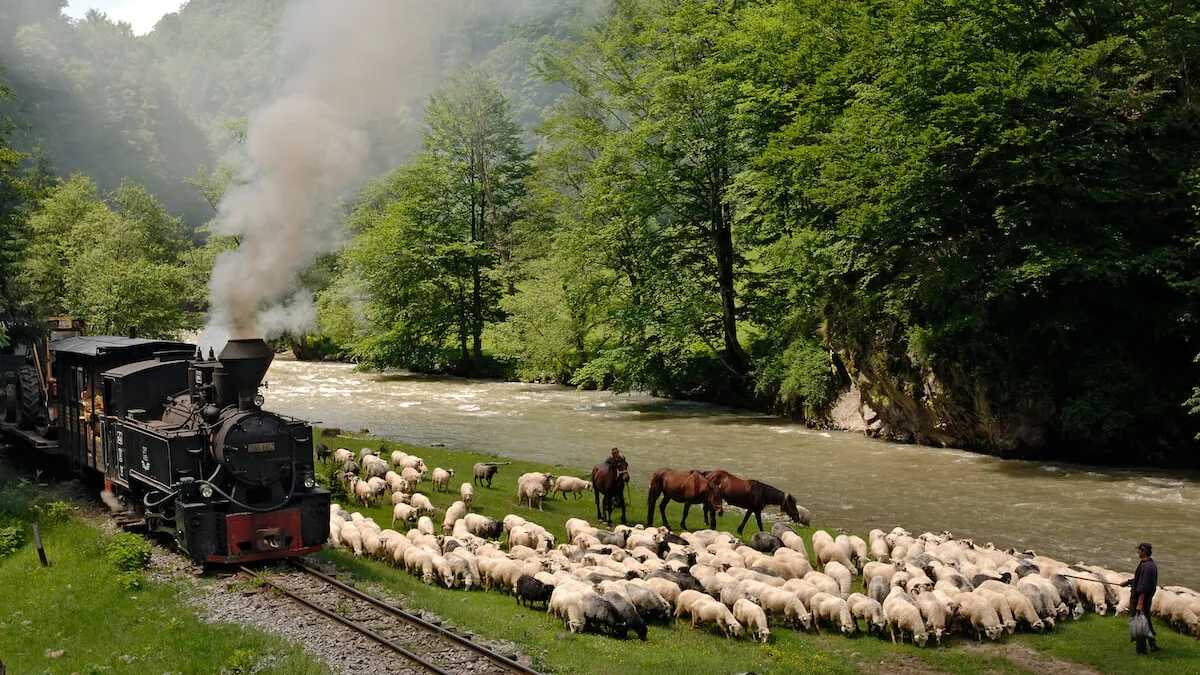 Calea ferată de pe traseul mocăniței de pe Vaser va fi reabilitată Foto: Mocanita Maramures