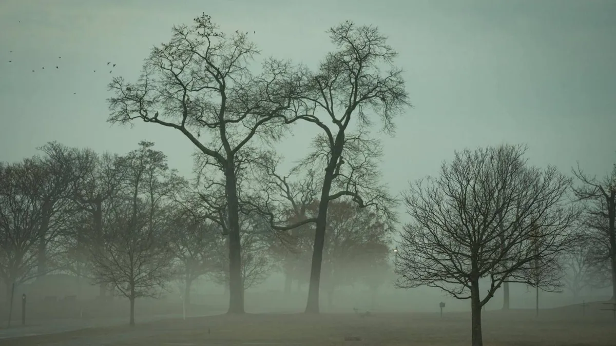 Decembrie aduce încălzire treptată și ploi (sursa: Pexels/David Kanigan)