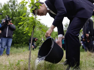 Ce ne spun despre proiectul lui Nicușor Dan propunerile la SRI și SIE Foto: Inquam/George Calin