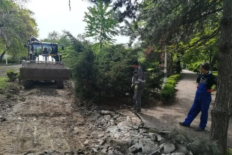 Primăria din Iaşi, amendată drastic pentru distrugerea spaţiului verde