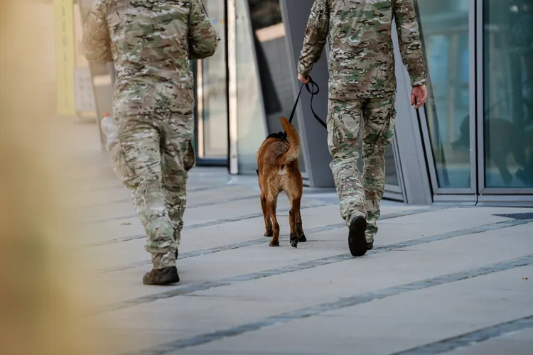 Bruxelles militarizat din cauza drogurilor (sursa: Facebook/Defensie - La Défense - Belgian Defence)