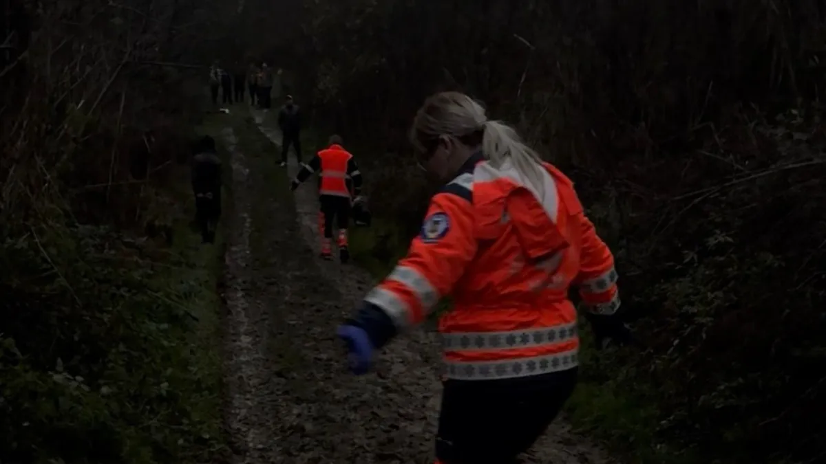 Femeie omorâtă de câini vagabonzi (sursa: bzv.ro)