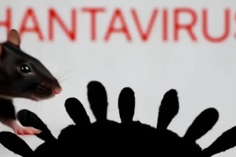 Hantavirusul, tranmis prin rozătoare sălbatice Foto: captură video X/Twitter