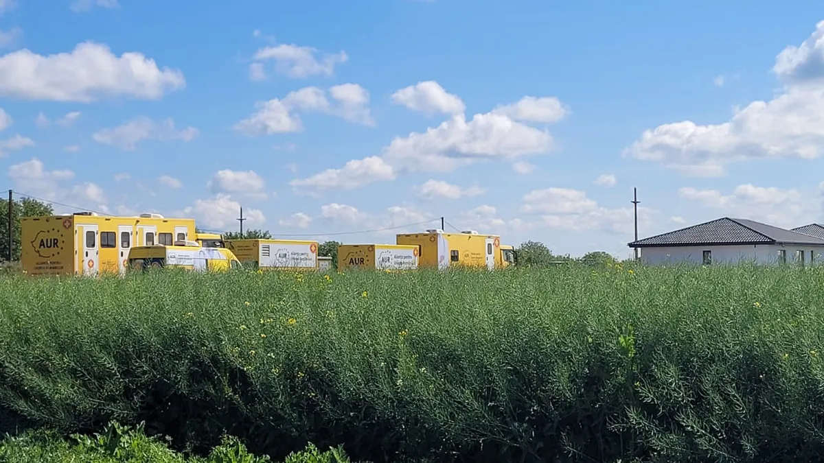 Camioanele caravanei medicale AUR, abandonate pe un câmp din Ilfov Foto: Facebook Cynthia Păun