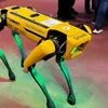 Între asistenta Carolina AI și câinele-robot de la Boston Dynamics - DIZ iași, ediția a patra (sursa: ziaruldeiasi.ro)