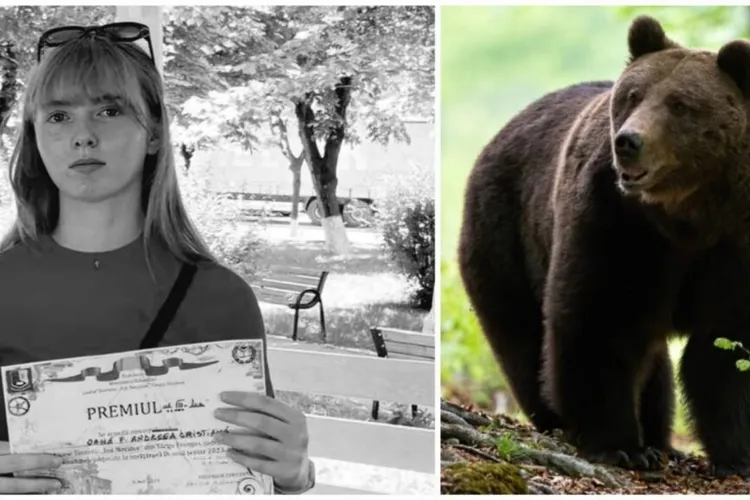 De ce urșii sunt mai agresivi (sursa: ziaruldeiasi.ro)