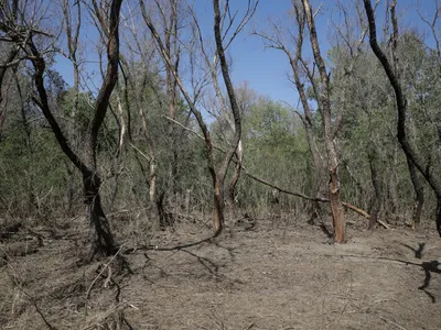 Noi fragmente de dronă, Armata - neștiutoare. Aici, locul exploziei altei drone rusești (sursa: Inquam Photos/Ovidiu Micsik)