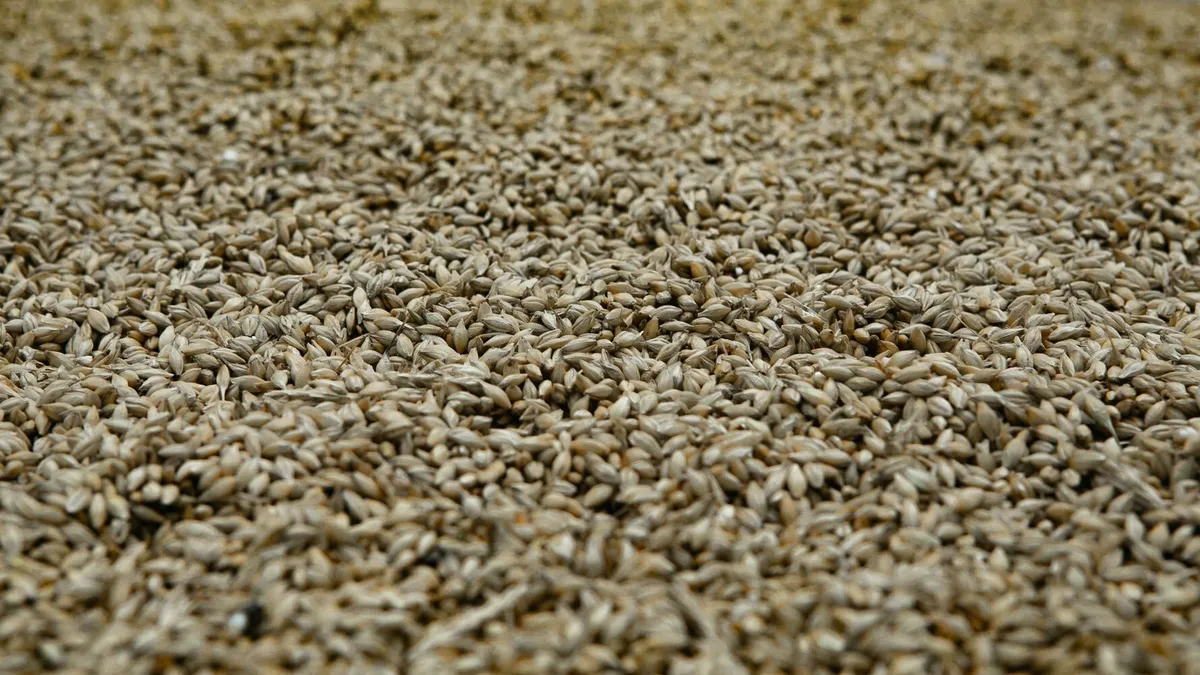 Rușii acuzați că au furat tone de cereale din Ucraina (sursa: Unsplash)