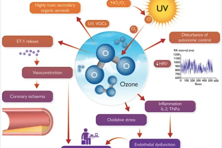 Poluarea cu ozon, creșterea afecțiunilor cardiace (sursa: European Heart Journal)