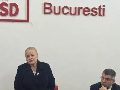 Demisii importante în cadrul PSD (sursa: Facebook/Rodica Nassar)