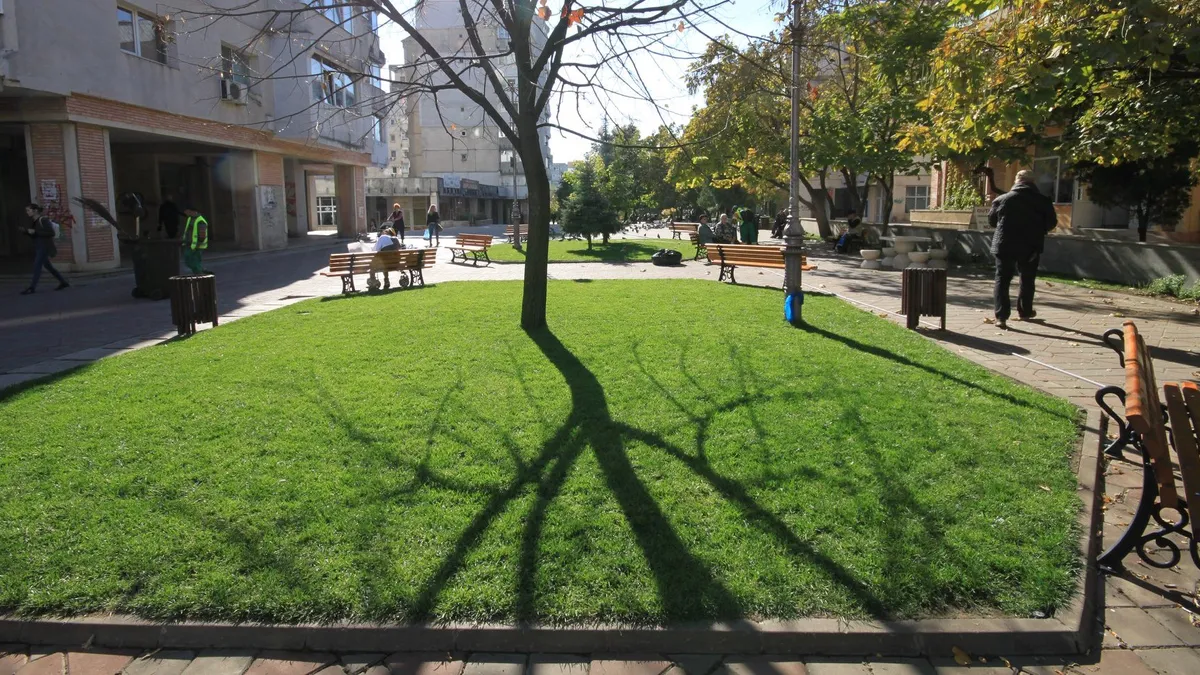 spațiu verde între blocuri de locuit