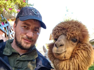 Alpaca lui Godină gâfâie în afaceri (sursa: Facebook/Marian Godina)