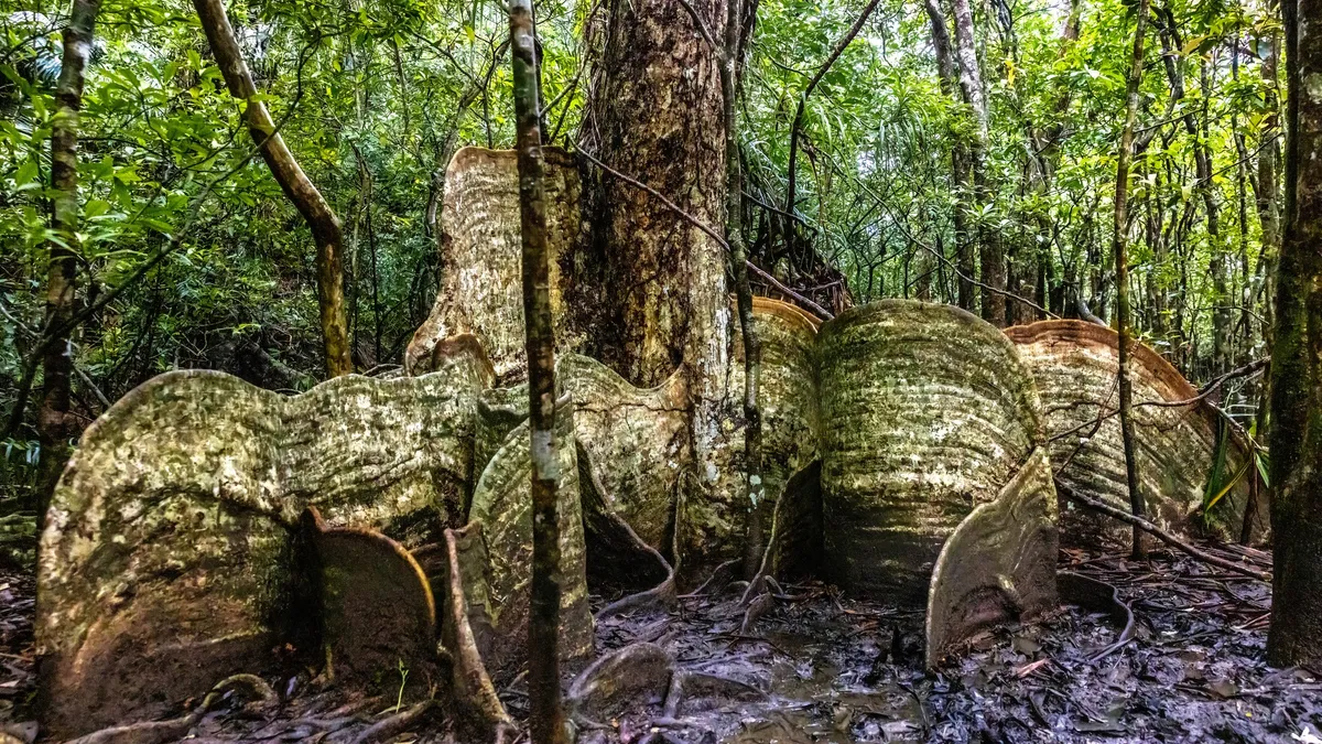 Japonia va limita vizitele pe o insulă din arhipeleagul Okinawa