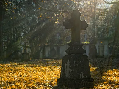 "Revoluționari" ieșeni, locuri de veci gratuit (sursa: Pexels/mali maeder)