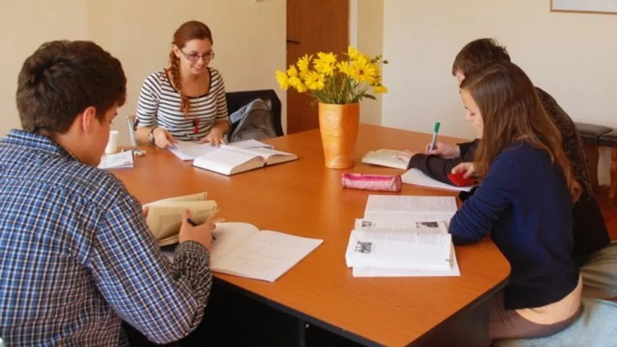 Profesorii nu prea acceptă interzicerea meditațiilor (sursa: ziaruldeiasi.ro)