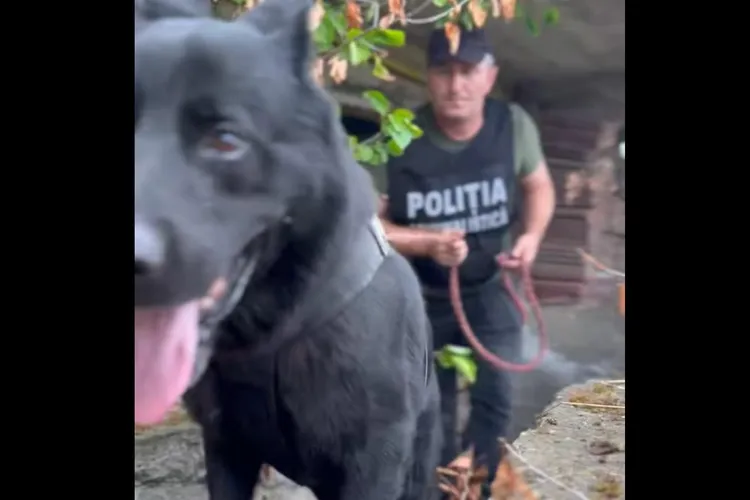 Ucigaș periculos, urmărit în județul Mureș (sursa: Facebook/Poliția Română)